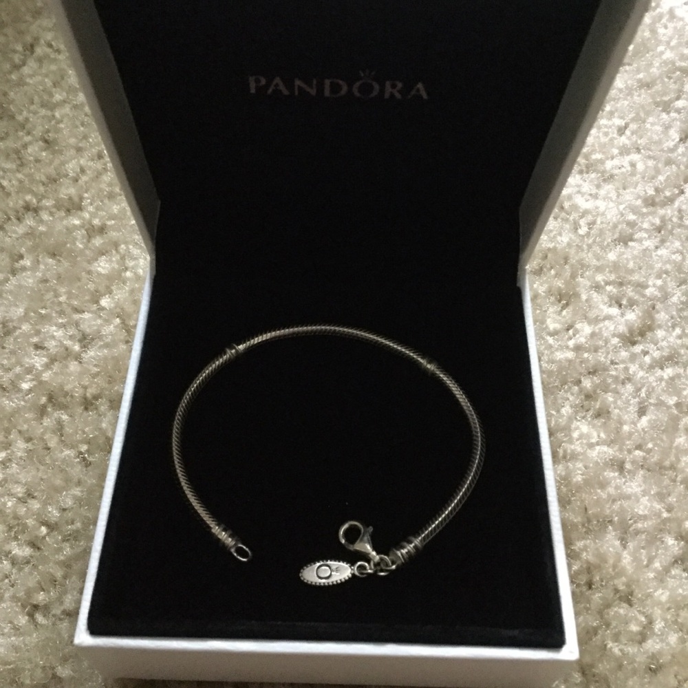 Pandora Charm Bracelet (Like New)